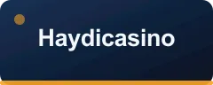 Haydicasino logosu